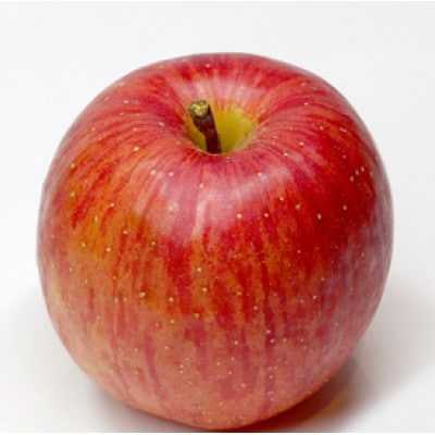 【2026年先行予約】りんご サンふじ 家庭用 約10kg