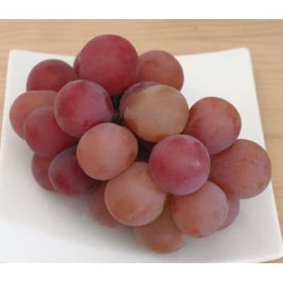 �y2026�N��s�\��z�N�C�[�����[�W��(R)�@��1�`1.5kg(2�[)