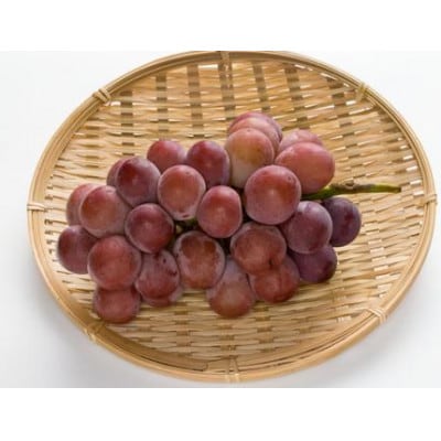 【2026年先行予約】シナノスマイル 2～3房 約1kg ぶどう