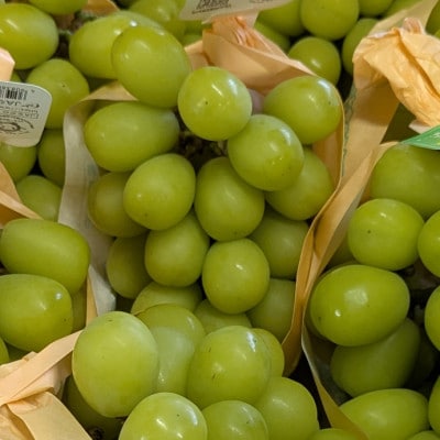 【2026年先行予約】シャインマスカット 約1kg(2～3房)