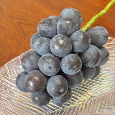 【2026年先行予約】ナガノパープル 約1kg(2～3房)