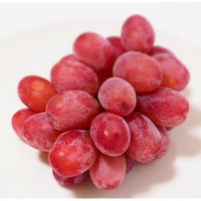 �y2026�N��s�\��z�N�C�[�����[�W��(R) ��1kg(2�`3�[)