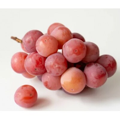 �y2026�N��s�\��z�X���ۑ��N�C�[���j�[�i 900g�ȏ�(2�[)