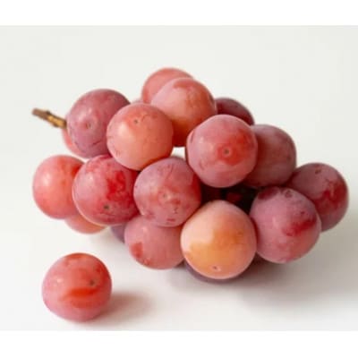 【2026年先行予約】氷温保存クイーンニーナ 900g以上(2房)