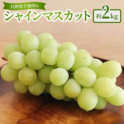 【2026年先行予約】シャインマスカット 約2kg