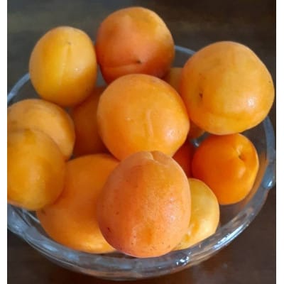 あんず　信月　約2kg
