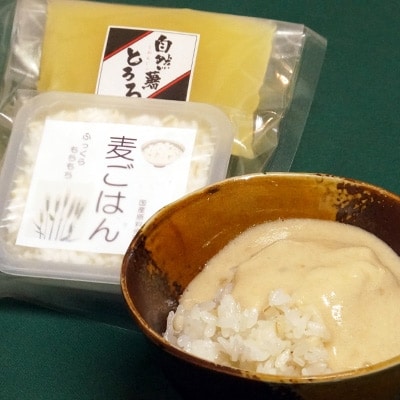 那珂川市産自然薯使用　自然薯麦とろセット(4人前)