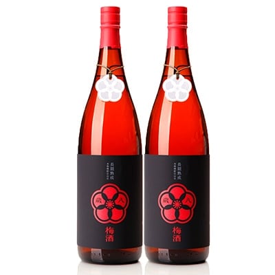 球磨焼酎　堤酒造　蔵八梅酒 1800ml×2本