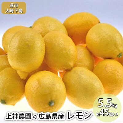 上神農園の【広島県産】レモン約5.5kg 約45個入り[NO5624-0456]