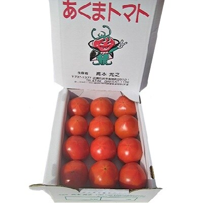 くらはし野菜の王国 あくまトマト フルーツトマト 9 個 No5624 0857 お礼品詳細 ふるさと納税なら さとふる