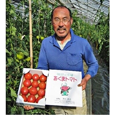 くらはし野菜の王国 あくまトマト フルーツトマト 9 個 No5624 0857 お礼品詳細 ふるさと納税なら さとふる