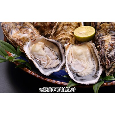 ナバラ水産 殻付き牡蠣 どおんと!一斗缶(65ヶ入り)[NO5624-0300]