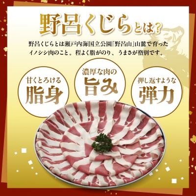 「野呂くじら」いのしし肉 3パックセット(計850g) ku049-001-r