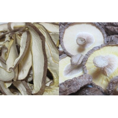 呉大和しいたけ　乾燥しいたけ詰め合わせ(合計7個) ku028-006-r