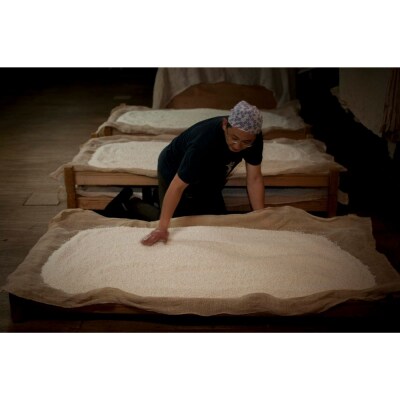 白鴻(はくこう) 純米大吟醸50 沙羅双樹 ku102-001-r