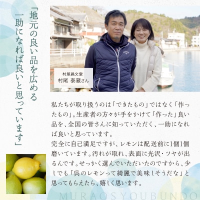 国産檸檬(レモン)の地　大長檸檬 生レモンしぼり 24本セット ku012-003-r