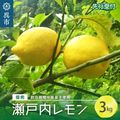 【先行受付】大崎下島産 栽培期間中農薬不使用 瀬戸内レモン 3kg