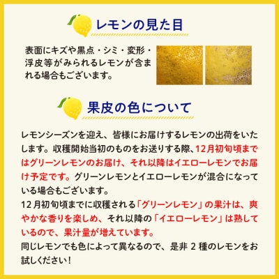 大崎下島産 栽培期間中農薬不使用 瀬戸内レモン 3kg ku044-001-z