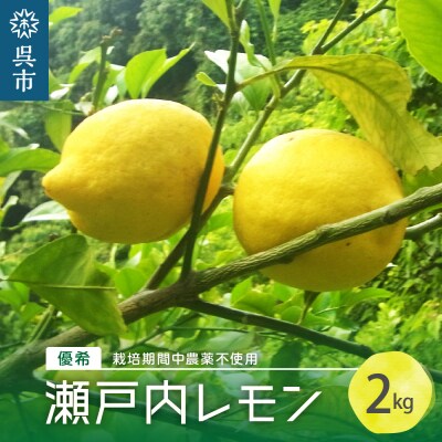 呉市大崎下島産 栽培期間中農薬不使用 瀬戸内レモン 2kg