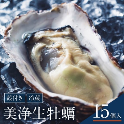【12月上旬より発送】中野水産 美浄生牡蠣(殻付)15個 牡蠣ナイフ付 ku007-003-25