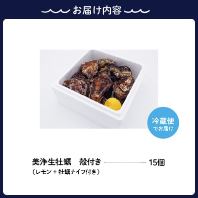 【12月上旬より発送】中野水産 美浄生牡蠣(殻付)15個 牡蠣ナイフ付 ku007-003-25