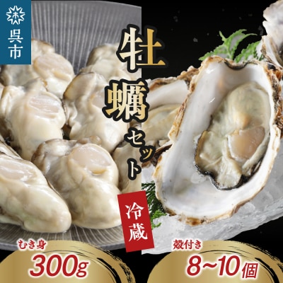 ystz쐅Y tbVMtg yނg300g&kty8`10