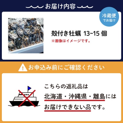 【先行受付】【2026年1月から順次発送】矢野水産 フレッシュギフト 殻付き牡蠣13個～15個