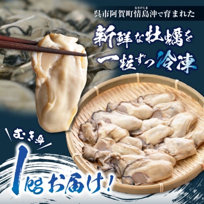 高田水産　冷凍かき　1kg(LLサイズ) ku010-008-rr