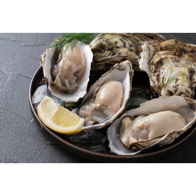 呉の海の幸 広島かきラーメン 6箱 (1箱2食入×6個) ku071-006-r