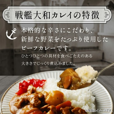 まぼろしの戦艦大和カレイ(カレー10個セット)