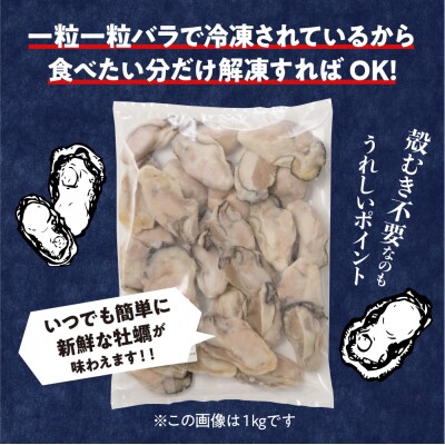 宮原水産 冷凍 かき むき身 1kg ku005-007-r