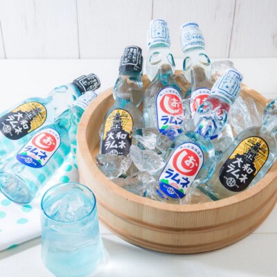 くれまち飲料12本セット　ku090-003-r