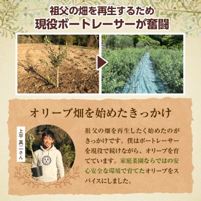 贅沢オリーブスパイス2本セット
