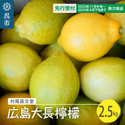 【先行受付】 国産檸檬(レモン)の産地　広島大長檸檬　2.5kg