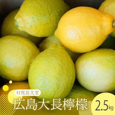 【2025年11月上旬～発送】 国産レモンの産地　広島大長檸檬　2.5kg ku012-013-25