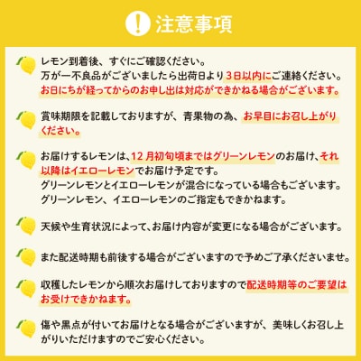 【2025年11月上旬～発送】 国産レモンの産地　広島大長檸檬　2.5kg ku012-013-25