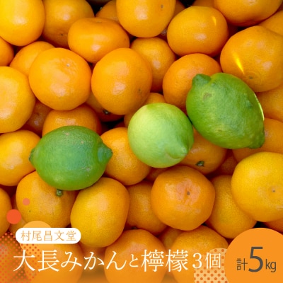 【2025年12月上旬～発送】広島 大長みかんと大長檸檬3個セット 5kg ku012-010-25