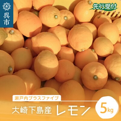 【先行受付】広島県呉市大崎下島産 レモン 約5kg