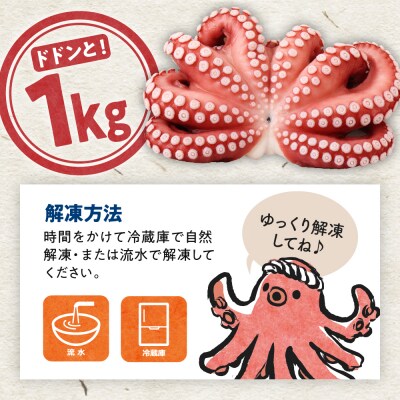 冷凍 味付けだこ 1尾 (約1kg)