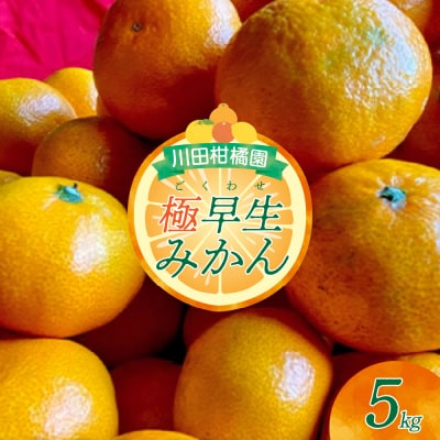 【2025年9月下旬～発送】川田柑橘園 呉市大長産 「極早生みかん」5kg ku055-004-25