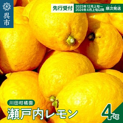 【先行受付】川田柑橘園 広島県産 「瀬戸内レモン」4kg