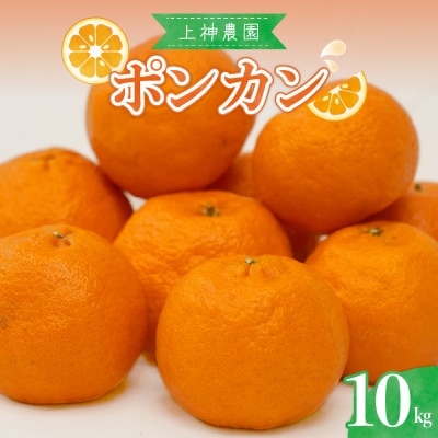 【2026年1月中旬～発送】上神農園のポンカン 約10kg ku011-008-25