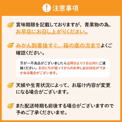 【2026年1月中旬～発送】上神農園のポンカン 約10kg ku011-008-25