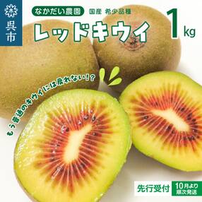 【先行受付】希少品種「 レッドキウイ 」国産 約1kg