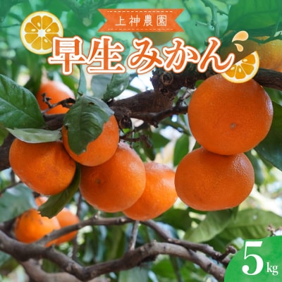 【2025年11月中旬～発送】上神農園の早生みかん 約5kg ku011-020-25