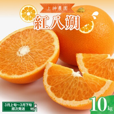 上神農園の紅八朔 約10kg