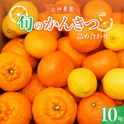 【2025年11月中旬～発送】上神農園 旬の柑橘詰め合わせ約10kg ku011-023-25