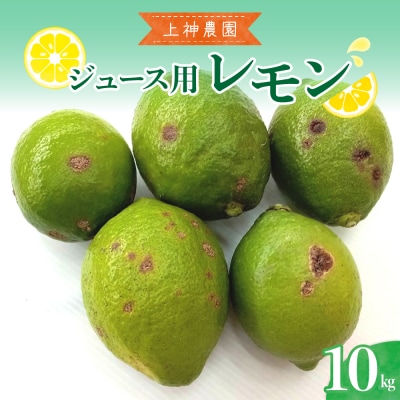 【2025年11月～発送】ジュース用 レモン 約10kg ku011-034-25