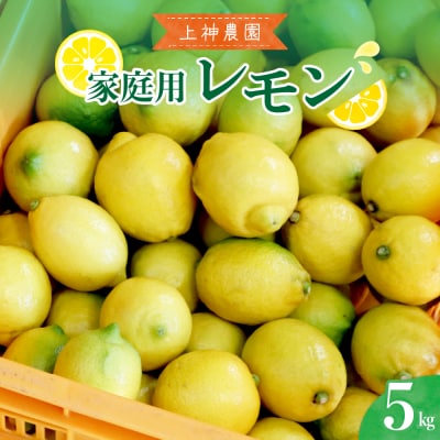 【2025年11月～発送】上神農園 家庭用 広島産 レモン 約5kg ku011-035-25
