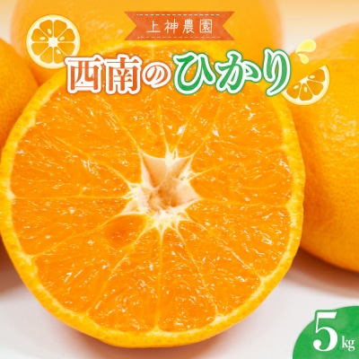 【2025年12月上旬～発送】上神農園の西南のひかり 約5kg ku011-036-25